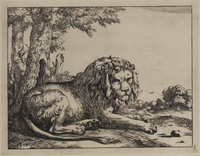 TvB G 0495
<br/>
Liggende leeuw, met de kop naar rechts
<br/>
<em>Bije, Marcus de (1639-ca. 1690)</em>